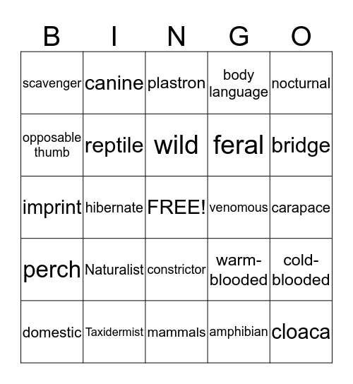 Critter Bingo Card