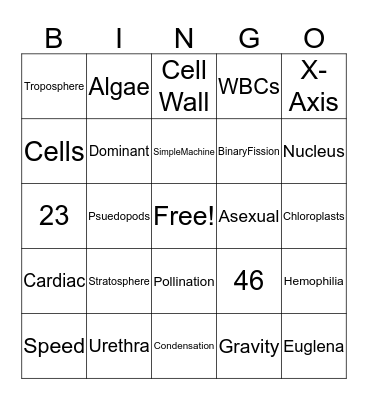 Scienee Bingo Card