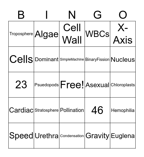 Scienee Bingo Card