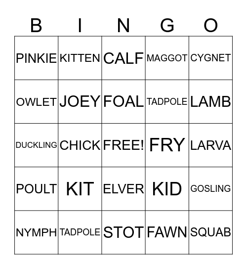 Baby Animals Bingo! Bingo Card