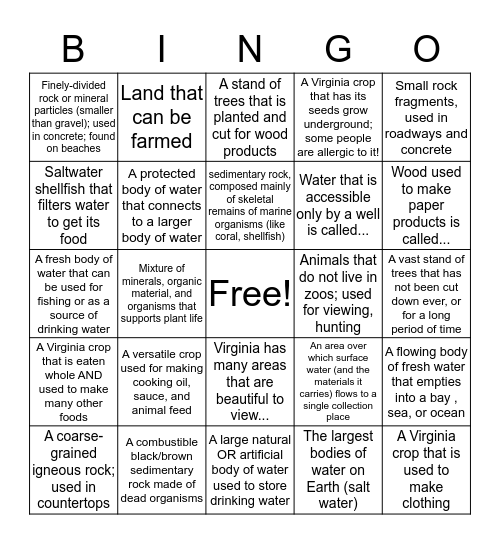 SOL 4.9 Resources BINGO! Bingo Card