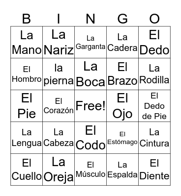 Las partes del Cuerpo Bingo Card