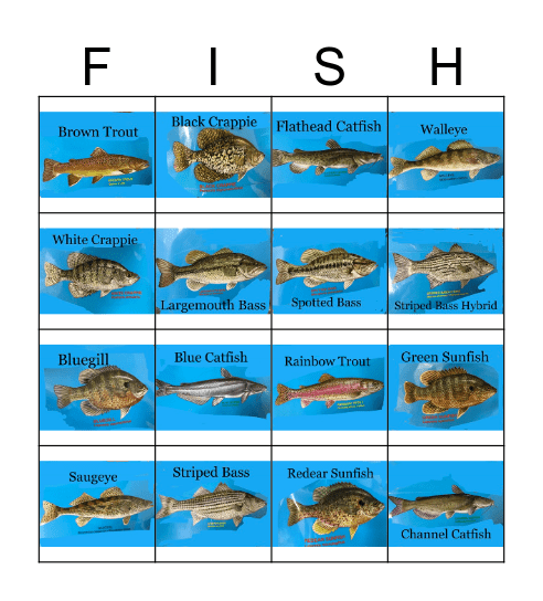 Oklahoma Game Fish Bingo Card
