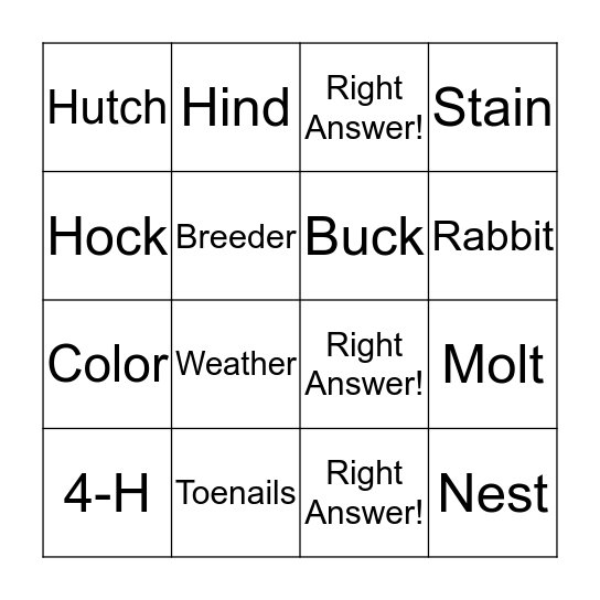 Bunny Bingo Card