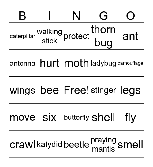 Insects Bingo Card