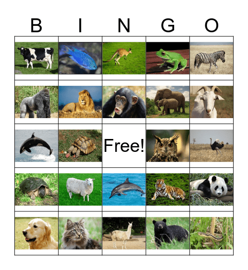 Animales Bingo Card