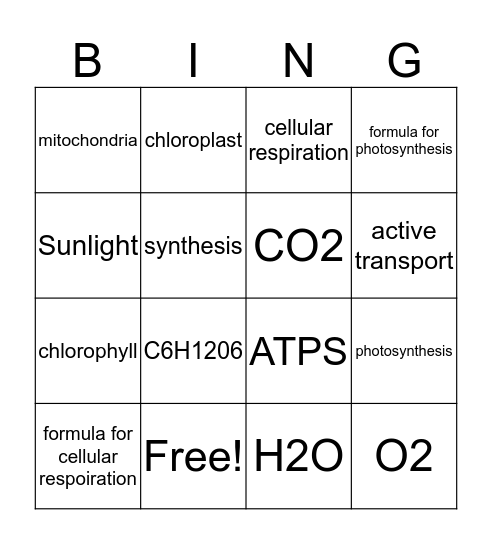 Cellular Respiration/Photosynthesis Bingo Card