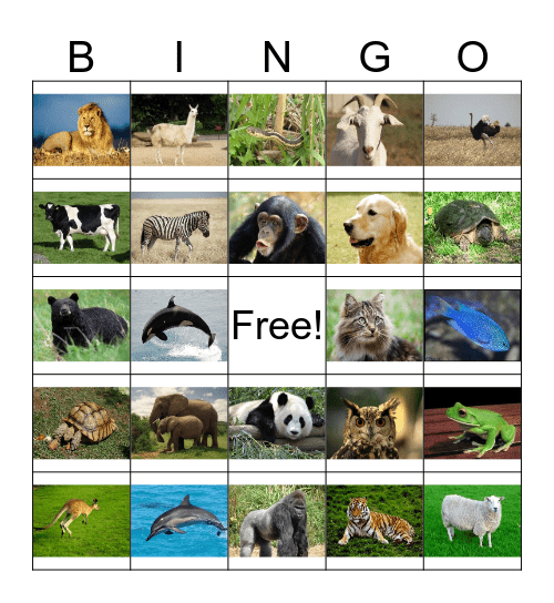 Animales Bingo Card