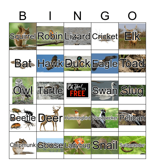 Southern Idaho Wildlife Bingo Card