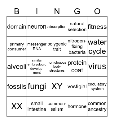 Biology Review (2) Bingo Card