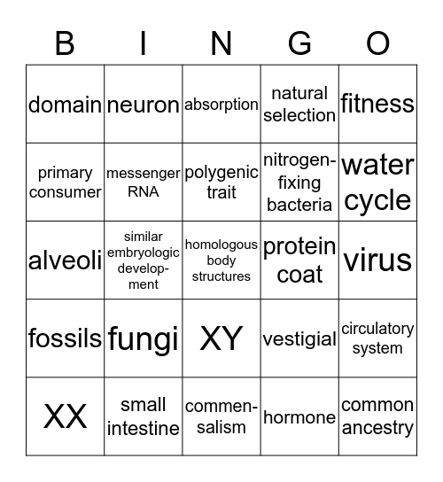 Biology Review (2) Bingo Card
