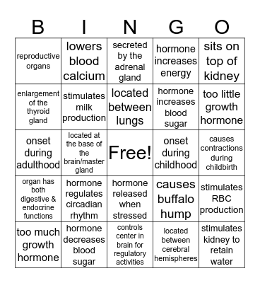 Endocrine System Bingo Card