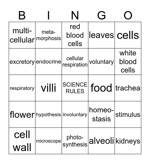 Mrs. Kubiak's Science Final Exam Review! Bingo Card