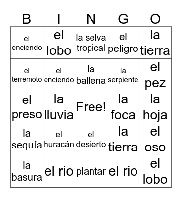 Chapter 5- Vocabulario  Bingo Card