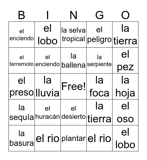 Chapter 5- Vocabulario  Bingo Card