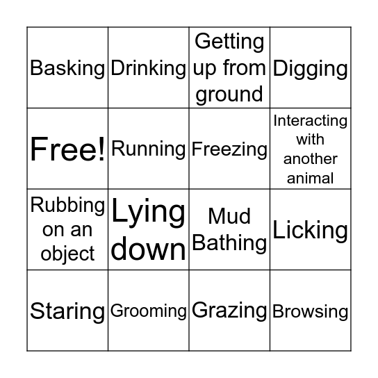 Behavior Bingo! Bingo Card