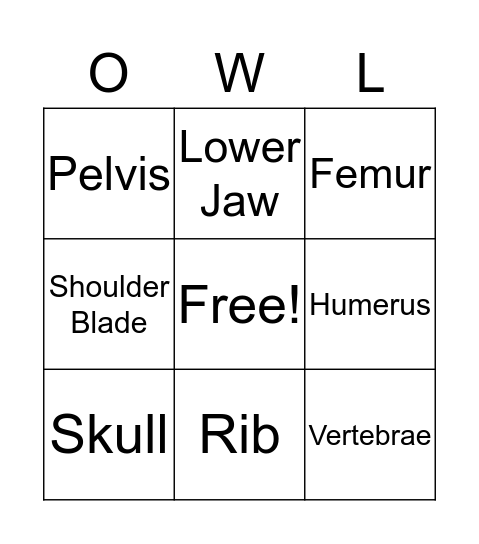 Owl Pellet Bingo Card