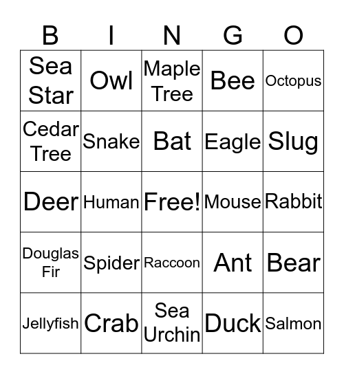 WHO AM I BINGO Card