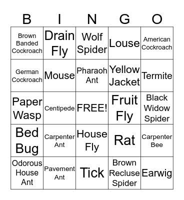 Insect ID Bingo Card