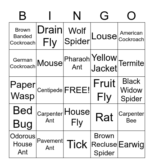Insect ID Bingo Card