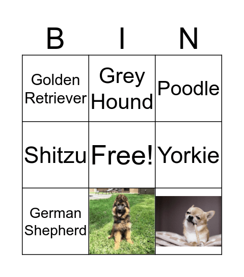 Dogs  Bingo Card