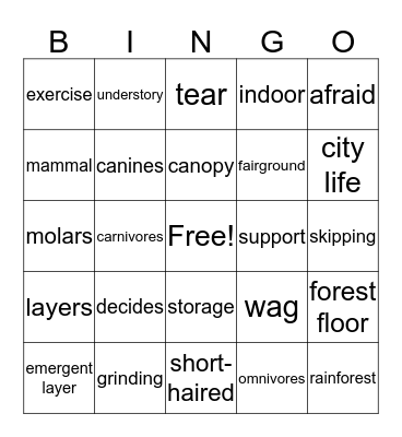 3 B Bingo Card