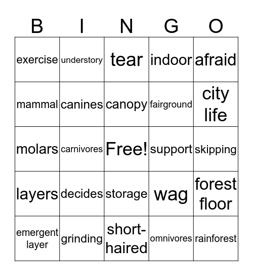 3 B Bingo Card