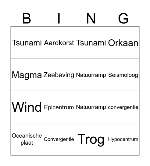 Begrippen Bingo Card