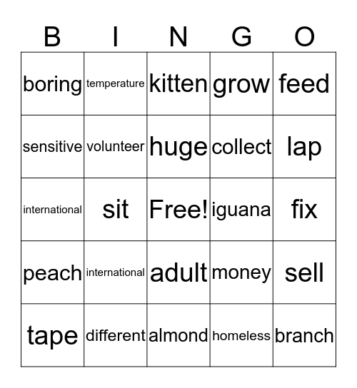 VOCAB Bingo Card