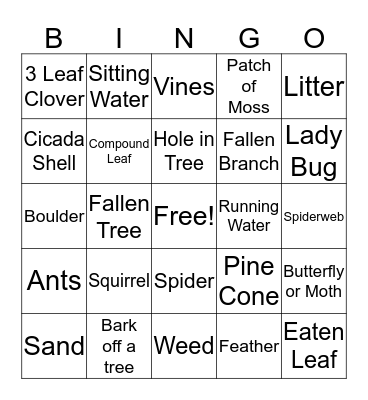 Groups 1-3 Nature Scavenger Hunt Bingo Card