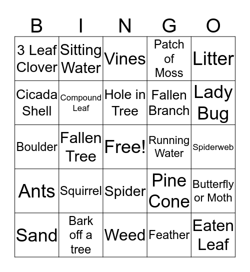 Groups 1-3 Nature Scavenger Hunt Bingo Card