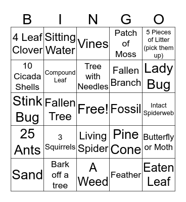 Groups 4-6 Nature Scavenger Hunt Bingo Card