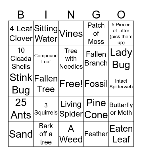 Groups 4-6 Nature Scavenger Hunt Bingo Card