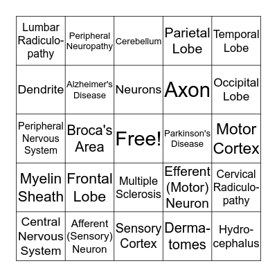 Neuroscience Bingo Card