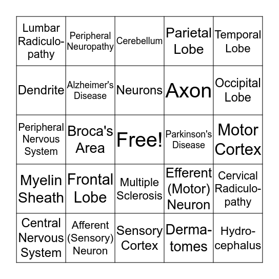 Neuroscience Bingo Card