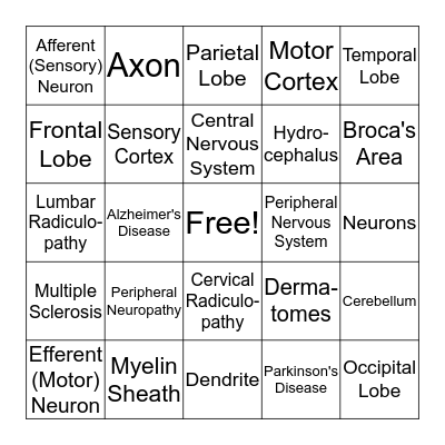 Neuroscience Bingo Card