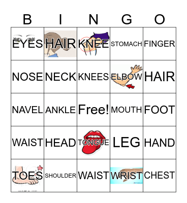 Body Parts Bingo Card