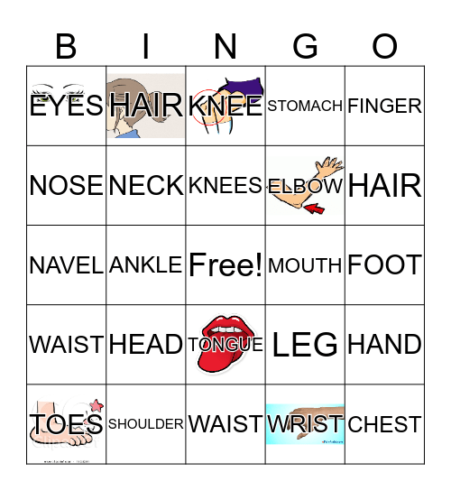 Body Parts Bingo Card