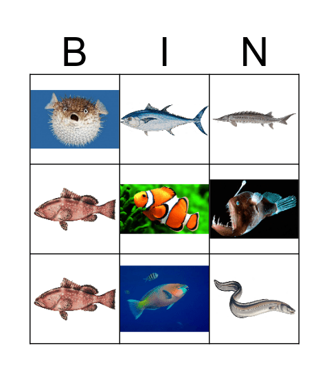 Fish Bingo! Bingo Card