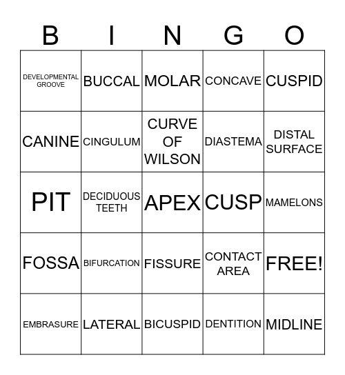 MORPHOLOGY Bingo Card