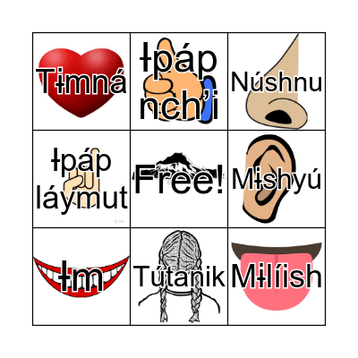 Wawnákwshash Bingo Card