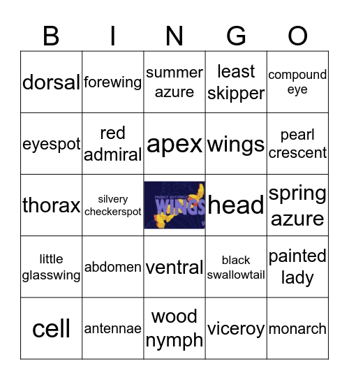 Project Butterfly Wings Bingo Card