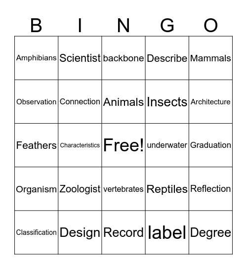 Vocabulary Bingo Card