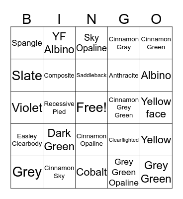 Budgie Bingo Card