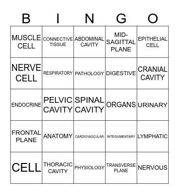 Human Body Directional Terms Bingo Card