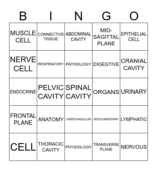 Human Body Directional Terms Bingo Card