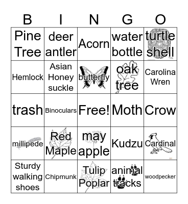 Nature Bingo Card