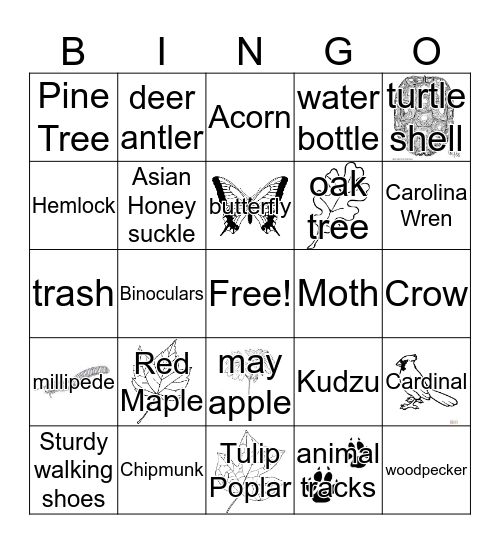 Nature Bingo Card