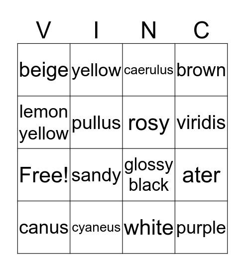 Color Vinco! Bingo Card