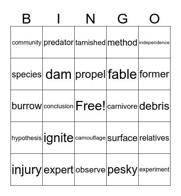 Vocabulary Bingo Card